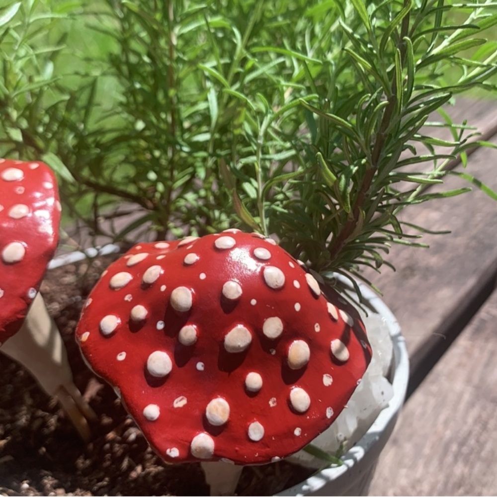 MUSHROOM π Garden Stakes w/ SPOTS! Set of 3 - Picture 14 of 14